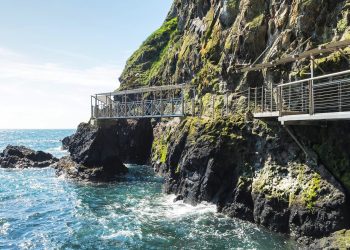 How Do Trails Shape Our Connection to Nature?