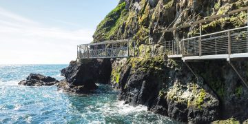 How Do Trails Shape Our Connection to Nature?