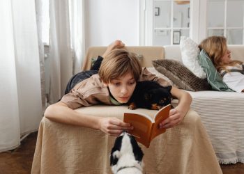 Can Fiction Teach Us More Than Non-Fiction?