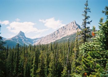 Can You Navigate a Trail Without a GPS?