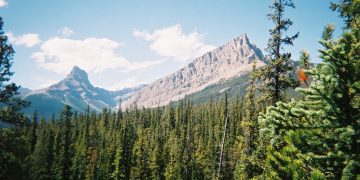 Can You Navigate a Trail Without a GPS?