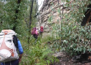 Are Off-Trail Adventures More Rewarding Than Following Marked Paths?