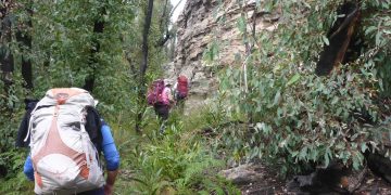 Are Off-Trail Adventures More Rewarding Than Following Marked Paths?