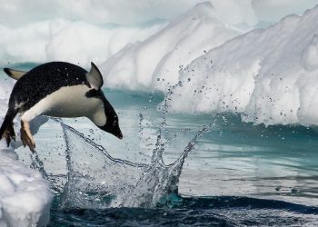 Is Antarctica the Final Frontier for Extreme Travelers?