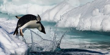 Is Antarctica the Final Frontier for Extreme Travelers?