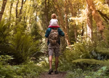 Can You Hike a Trail Without Impacting Local Wildlife?