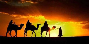 What Makes Trails in Desert Landscapes So Unique?