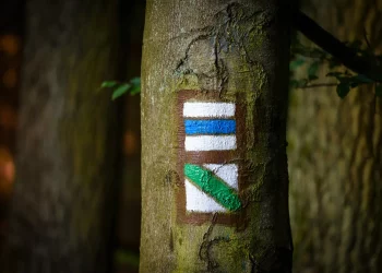 Do Trail Markers Really Help, or Do They Just Lead You Astray?