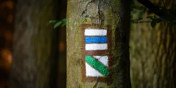 Do Trail Markers Really Help, or Do They Just Lead You Astray?