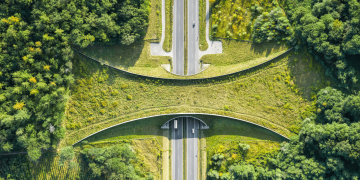 How Do Trails Contribute to Conservation Efforts?