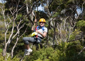 Can You Find Adventure in the Quiet Islands of New Zealand?