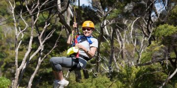 Can You Find Adventure in the Quiet Islands of New Zealand?