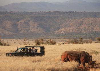 What Makes Kenya’s Lesser-Known Safari Parks So Special?