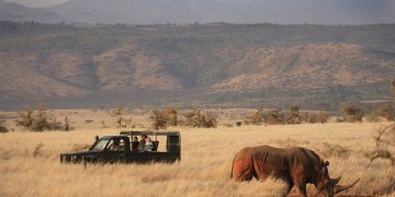 What Makes Kenya’s Lesser-Known Safari Parks So Special?
