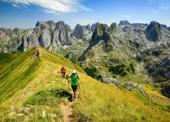 What If Trails Could Talk—What Secrets Would They Share?