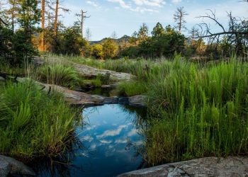 Are Trail Networks the Future of Sustainable Travel?