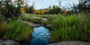 Are Trail Networks the Future of Sustainable Travel?