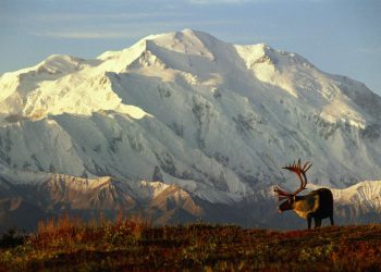What Makes Alaska the Ultimate Wilderness Experience?