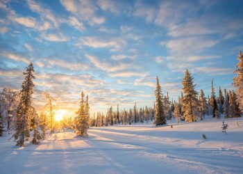 Why Are More People Turning to the Finnish Lapland for Their Winter Holidays?