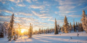 Why Are More People Turning to the Finnish Lapland for Their Winter Holidays?