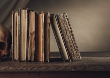 Why Are We Drawn to Dark and Twisted Stories?