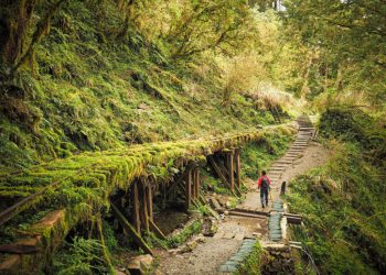 What Makes Historic Trails Different from Modern Ones?
