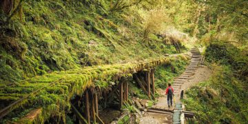 What Makes Historic Trails Different from Modern Ones?