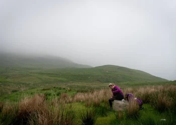 Can Trails Be Therapeutic for Mental Health?