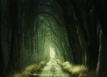 Hidden Trails: Can They Unlock Forgotten Folklore?