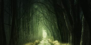 Hidden Trails: Can They Unlock Forgotten Folklore?