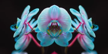 The Fine Line Between Minimalism and Boring Design