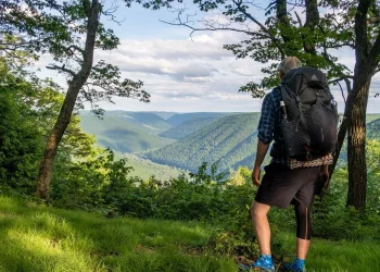 Can Trails Really Help You Disconnect from Technology?