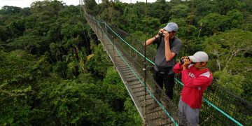 What Secrets Lie Beneath the Forest Canopies of the Amazon?
