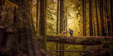 Do Overgrown Trails Hold the Key to Untold Wilderness Stories?